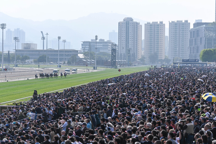 2024年“浪琴香港國際賽事”8日在沙田馬場開賽。主辦方供圖